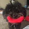 jennipher_h